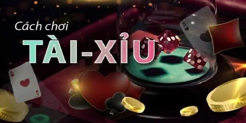 Cách chơi Tài Xỉu được nền tảng hướng dẫn cụ thể